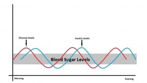 Blood Sugar Levels Low