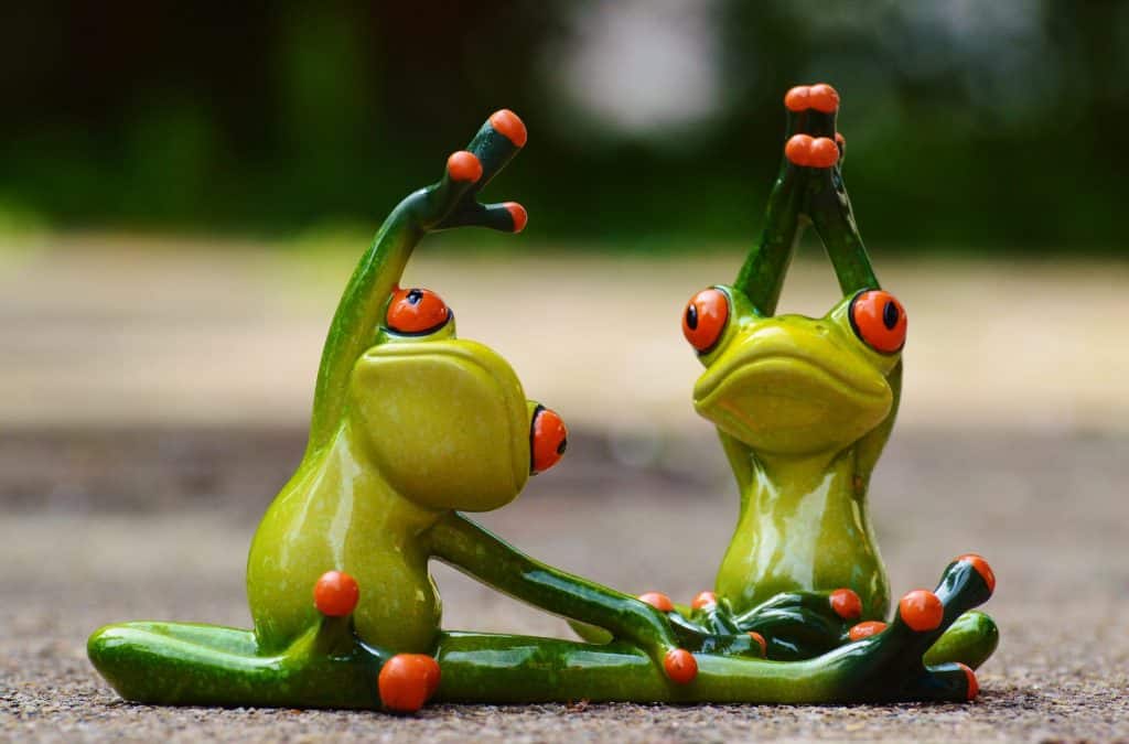 frogs doing stretches