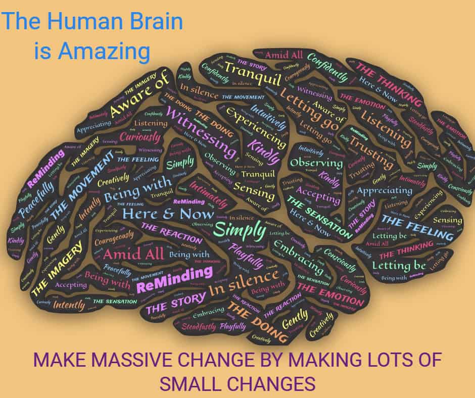 human brain make massive change by making lots of small changes