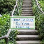 Step Up Your Training